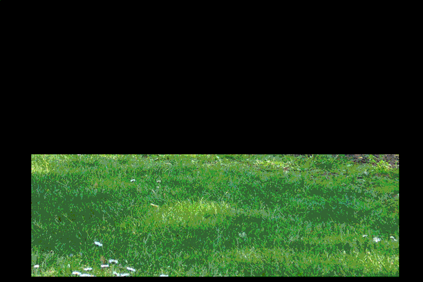 das Befree-Team als animiertes gif